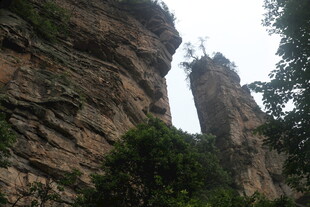 险峻奇峰与葱郁植被景观