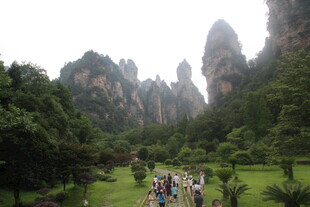 张家界奇峰下的游人景致