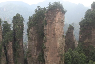 张家界奇峰林立景观