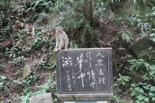 山林中的古朴石碑