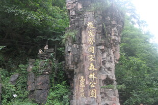 山林中的刻字石柱