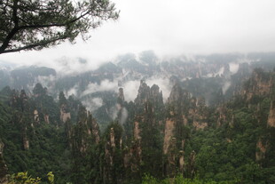 张家界奇峰云雾景观