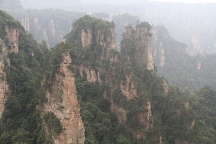 张家界奇峰林立景观