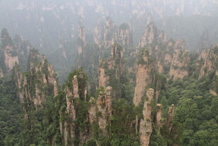 张家界奇峰林立美景