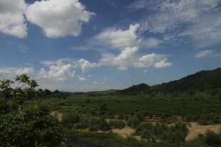 蓝天绿野间的自然景致