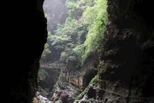 峡谷间的绿意盎然