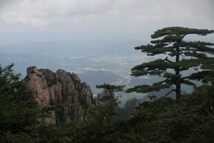 黄山奇峰与孤松美景