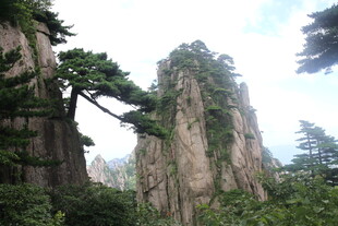 黄山奇峰异松秀丽景致