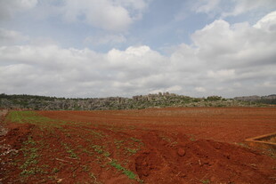 红土地景观 广袤开阔