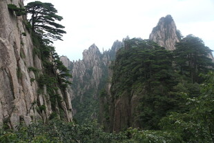 壮丽黄山奇峰绿植景观