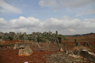 荒凉红土地上的奇特石林