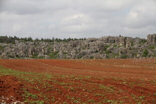 红土地与远处石山景观