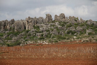 荒野中的奇特岩石景观
