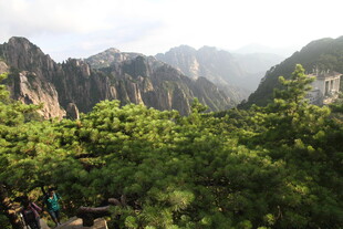 山间绿意盎然的壮丽景色