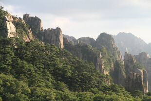 秀丽山峦绿意盎然的景致