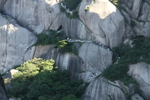 险峻山石间的绿意点缀