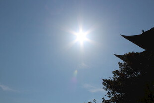 阳光照耀下的中式建筑一角