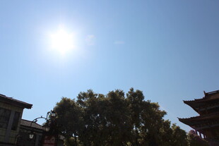 阳光下的古建筑与绿树