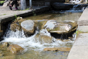 潺潺溪流中的石块景观