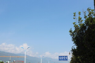 蓝天绿树旁的道路指示牌