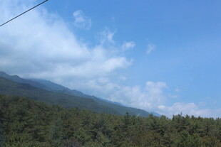 蓝天白云下的山林风光