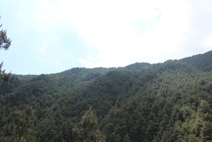 翠绿山峦 尽显自然之美