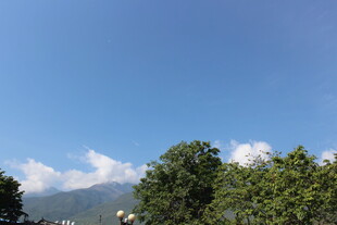 蓝天绿树间的自然美景