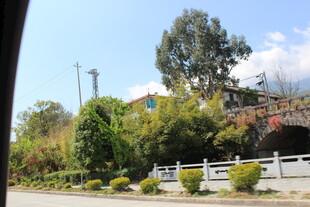 车窗外的绿意风景