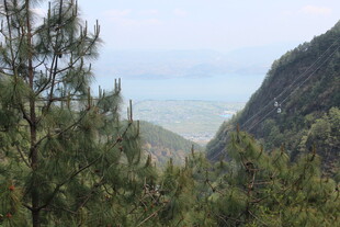 山间松林与远处开阔景致