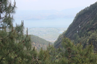山间松景 远眺广阔天地