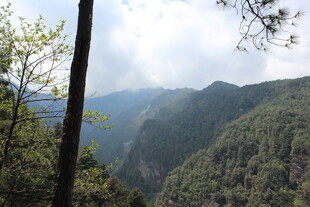 青山绿树间的秀丽山景