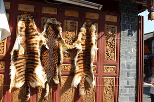 中式门前悬挂的腌制鱼肉