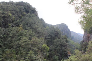 青山绿树间的秀丽山景