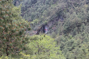 山林间的隐秘建筑