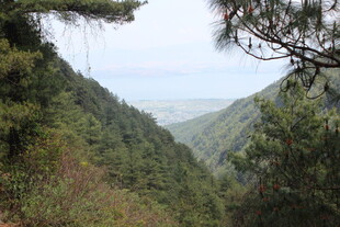 山间绿意盎然的秀丽景致