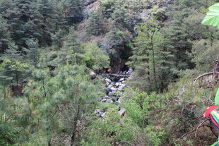 山林间的潺潺溪流