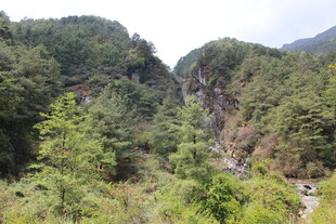 山间绿意盎然的秀丽景致