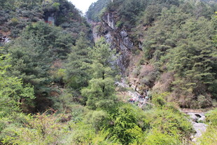 山间翠绿溪流景观