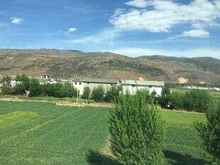 田园风光 绿意盎然的景致