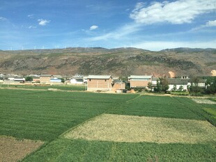 开阔绿地旁的建筑与远山