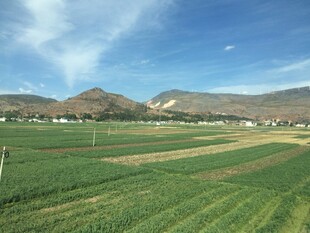田园风光 广袤田野与远山