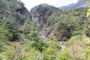 山间翠绿峡谷美景