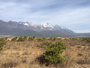 旷野中的远山与绿植