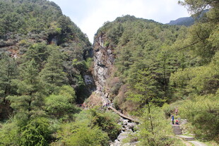 山间峡谷绿意盎然景观