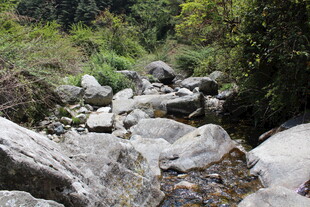 山间溪流 石间潺潺流水
