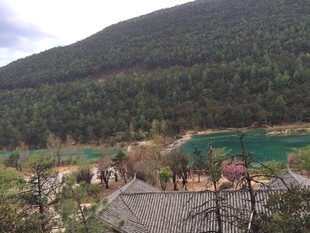 山间翠湖旁的静谧景致