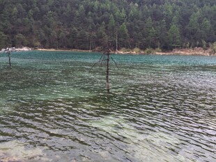 清澈碧绿的湖水景观