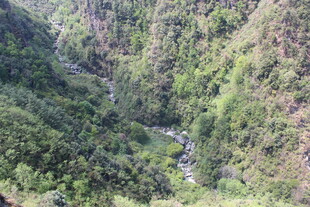 山间蜿蜒溪流的绿意景致