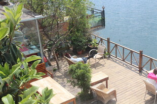 海边露台休闲绿植景观