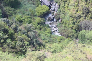 山间溪流穿林而过